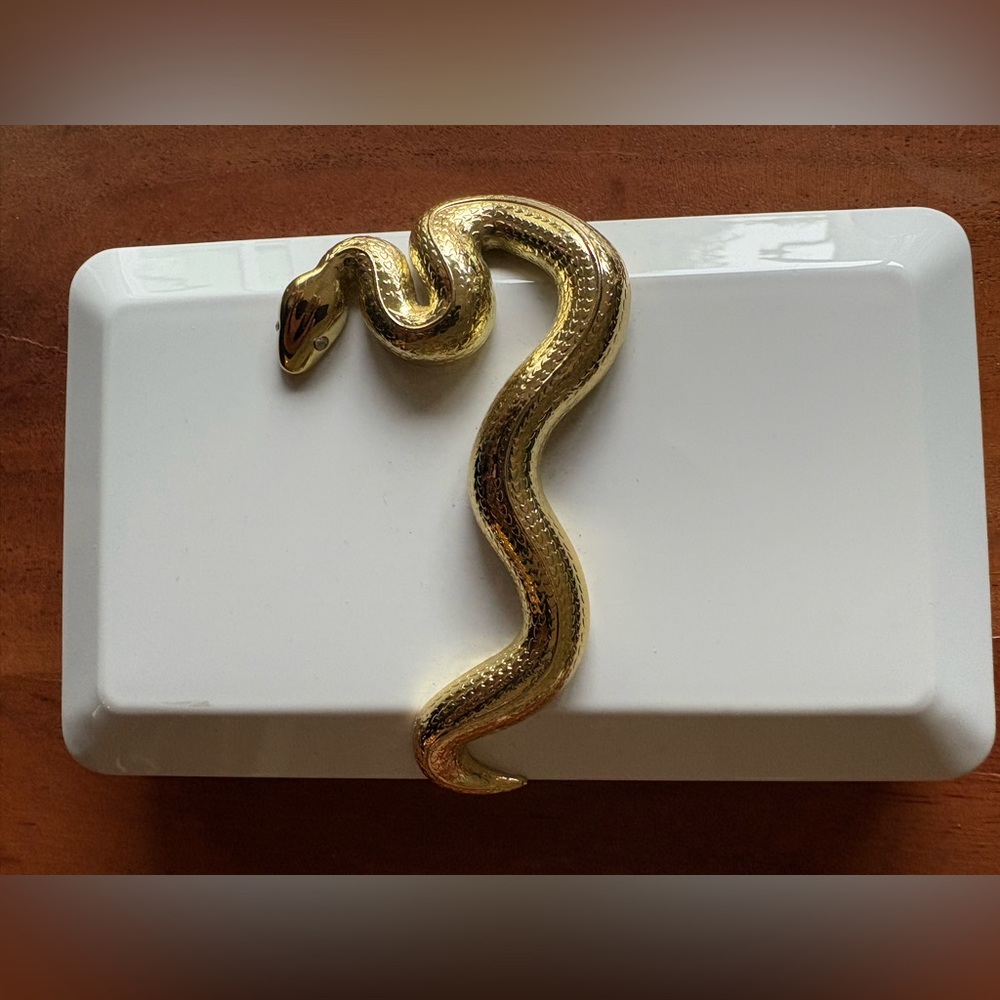 Gold Snake Reptile clutch